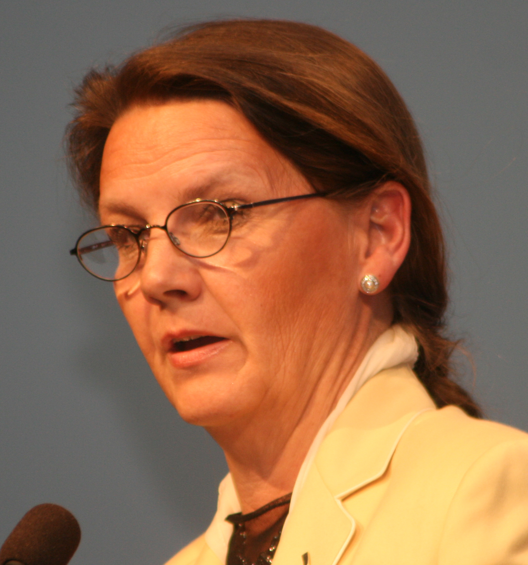 Imagem de referência relacionada a Ingjerd Schou, item descrito como política norueguesa