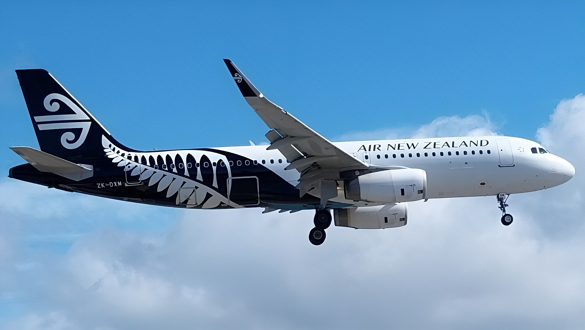 Imagem de referência de Air New Zealand, descrito nos dados abertos como principal companhia aérea da Nova Zelândia