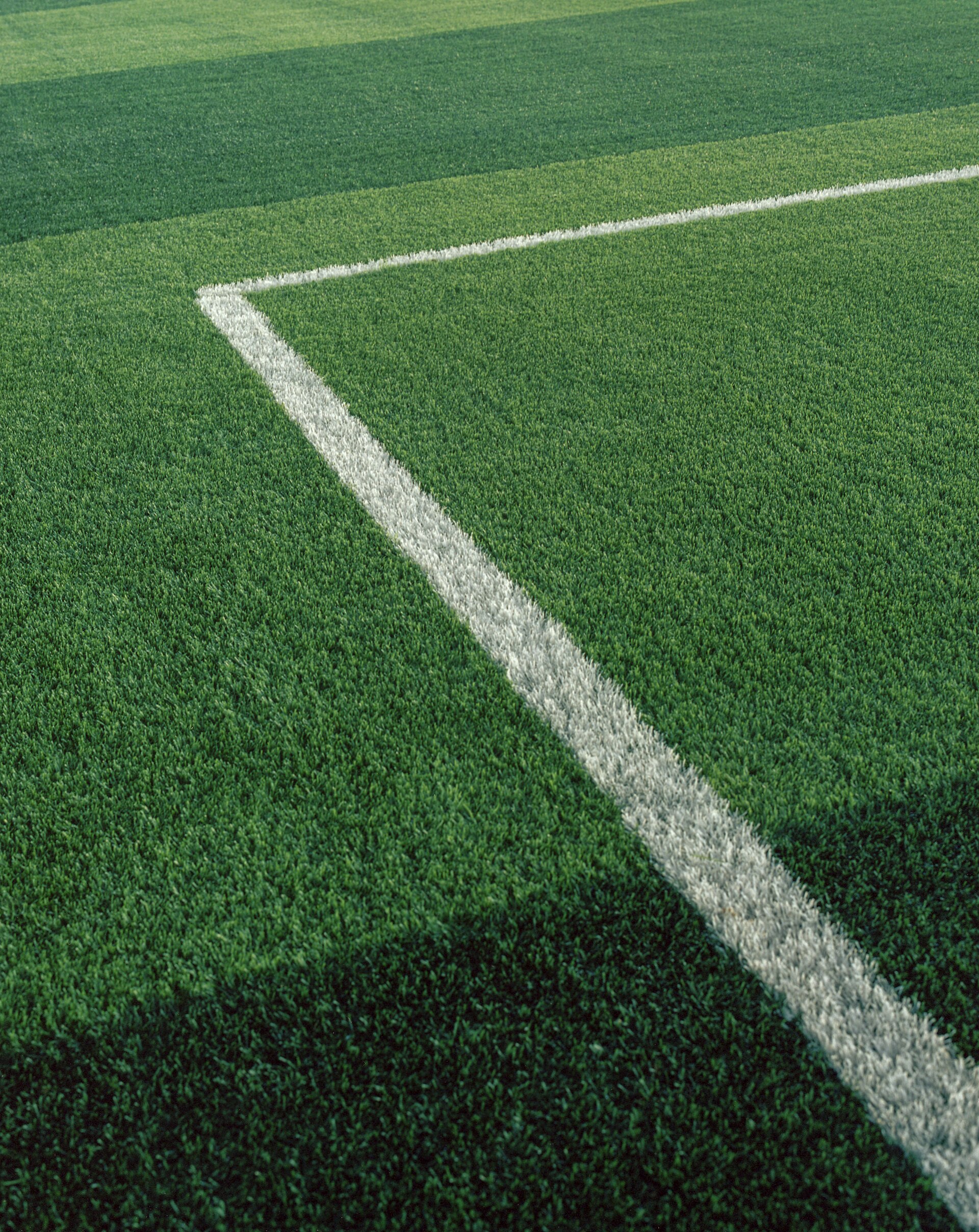 Imagem de referência relacionada a AstroTurf, item descrito como registro de referência sobre AstroTurf, organizado a partir de dados estruturados abertos