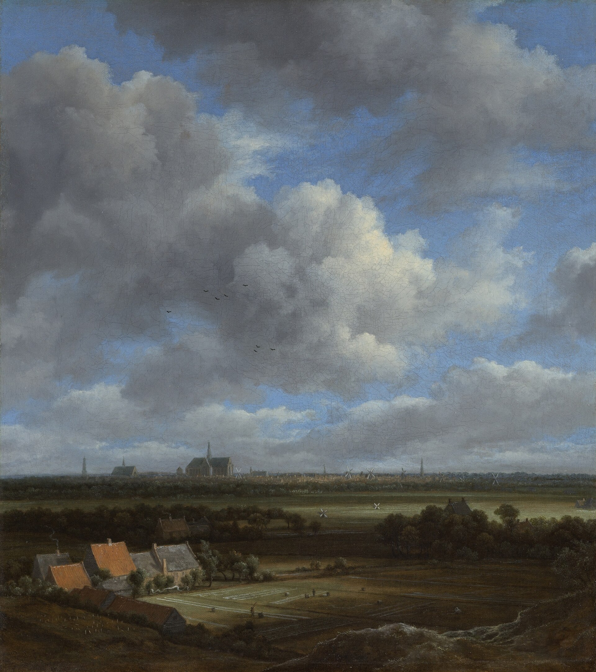 Imagem de referência de Panorama de Haarlem, descrito nos dados abertos como pintura de Jacob Isaacksz. van Ruisdael