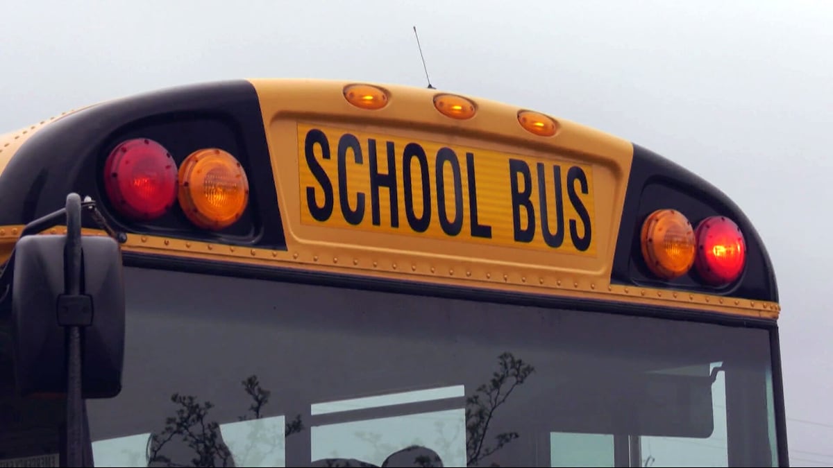 Teen stunt driver passed two school buses: North Bay OPP
