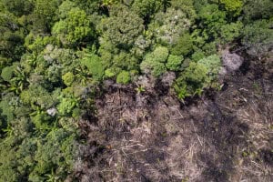 Eventos climáticos extremos no centro da Amazônia preocupam cientistas