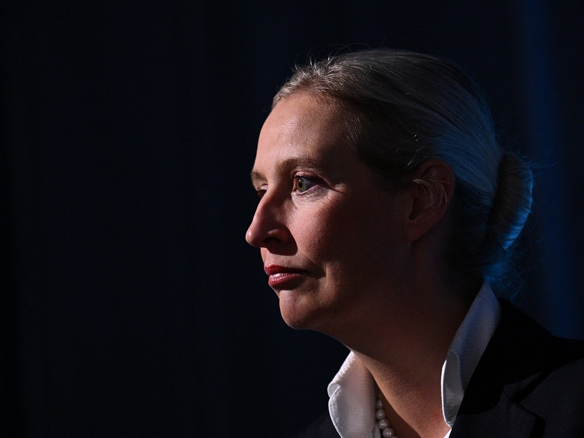 O bilionário Müller elogiou a líder da AfD, Alice Weidel, para o cargo de chanceler da Alemanha após a vitória do partido
