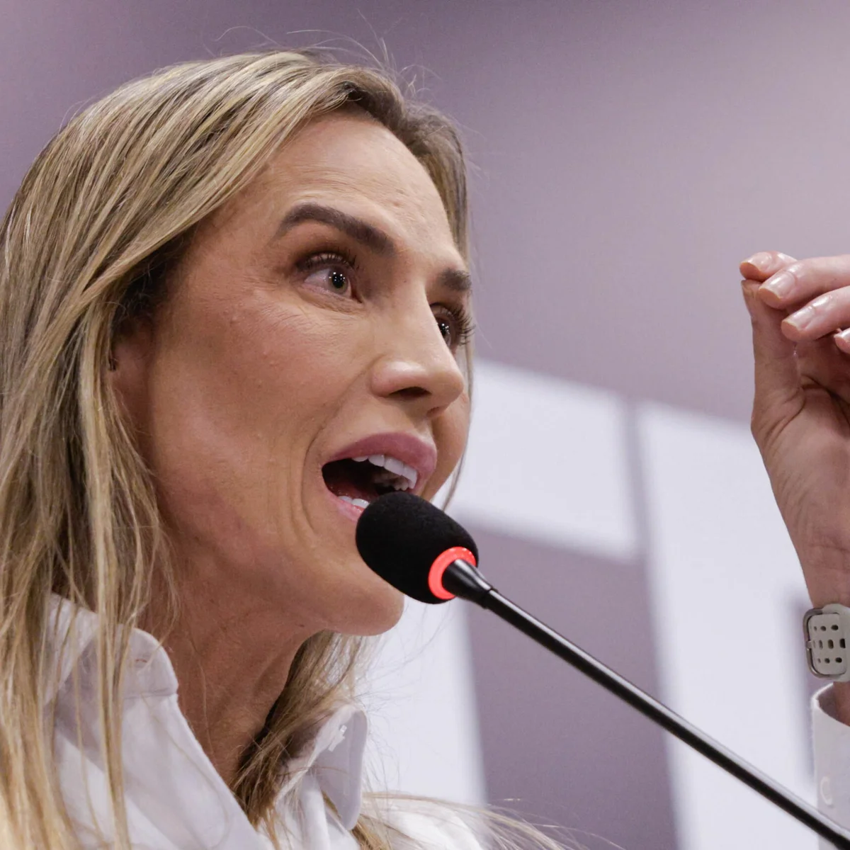 "Meu marido nunca teve nenhum negócio com o governo", afirma Celina