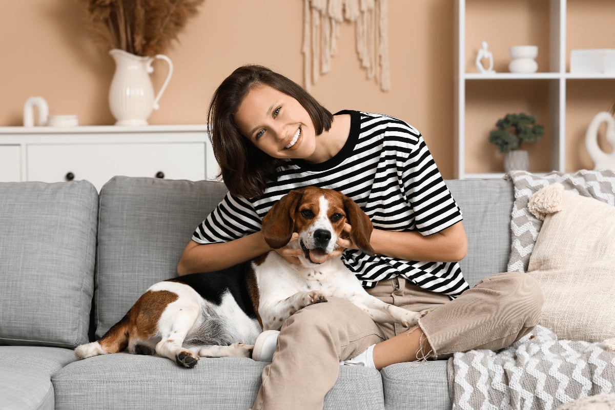 Seu cachorro realmente gosta de ser tratado como filho? 5 sinais de quando o vínculo pode ir longe demais