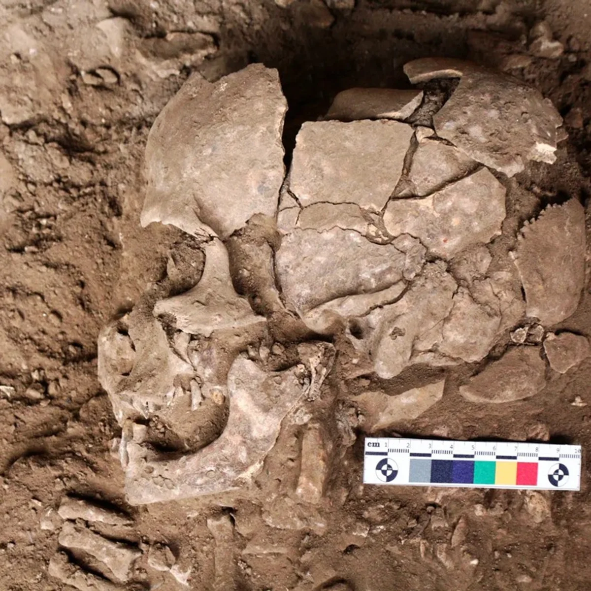 Estudo revela que seres humanos usam drogas há pelo menos 25 mil anos