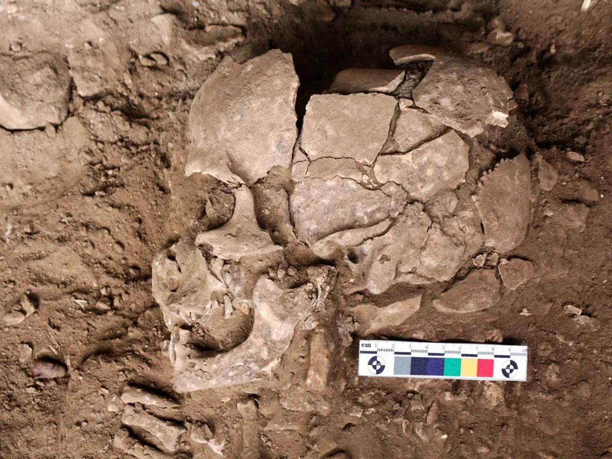 Estudo revela que seres humanos usam drogas há pelo menos 25 mil anos