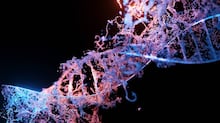 Grande estudo genético revela forte correlação entre DNA e traços de personalidade