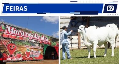 Henrique e Juliano, Xande de Pilares e Revelação: confira os eventos do fim de semana no DF