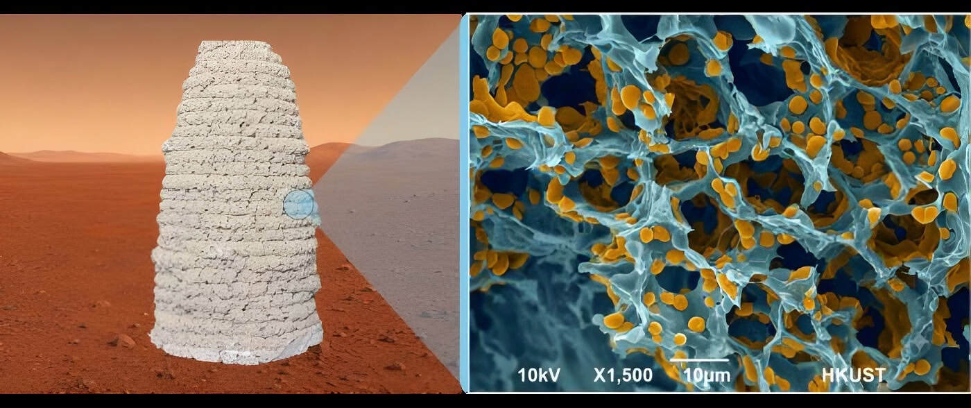 Material de construção vivo pode ser impresso em 3D sob condições marcianas simuladas a -30°C e 0,01 atm (esquerda). Uma visão microscópica revela a estrutura porosa do material, com polímeros e leveduras geneticamente modificadas destacadas em amarelo (direita).