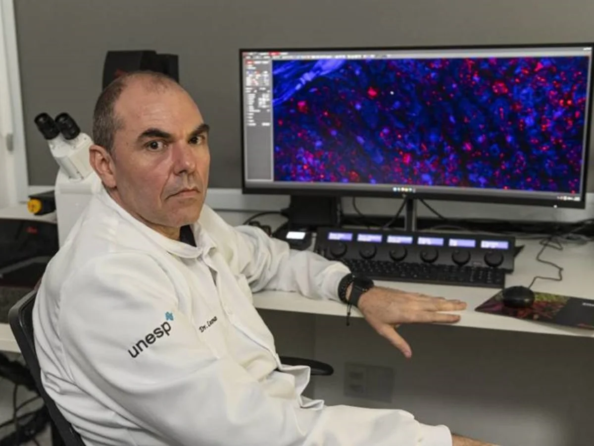 Pela 1ª vez, um brasileiro ganha honraria mundial de sociedade renomada