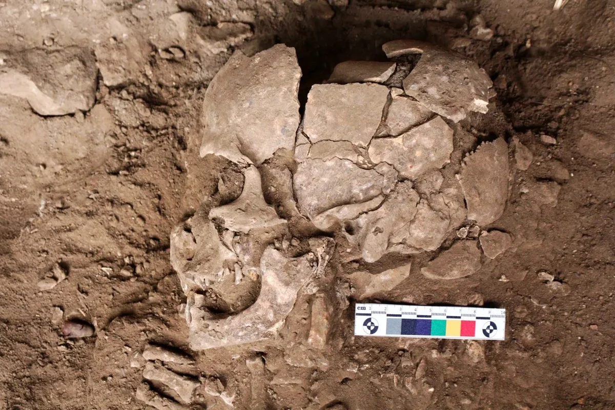 Estudo revela que seres humanos usam drogas há pelo menos 25 mil anos