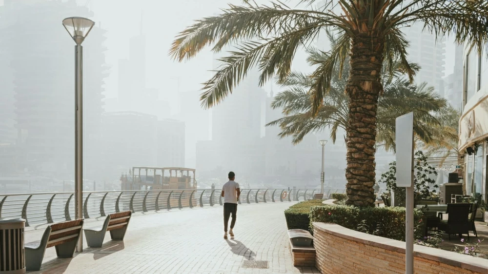 You might experience morning fog or mist on Friday morning in some coastal areas. Picture for illustrative purposes. Picture credit: Pexels
