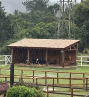 A Fazenda 18: peão pretende fazer revelação íntima durante reality