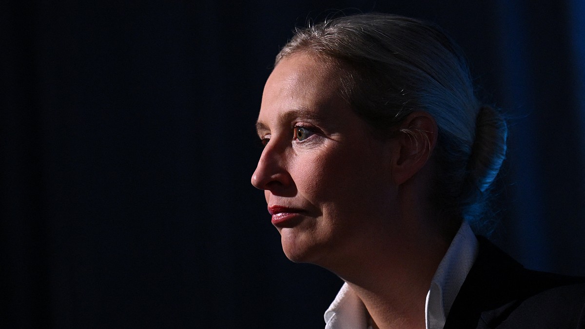 O bilionário Müller elogiou a líder da AfD, Alice Weidel, para o cargo de chanceler da Alemanha após a vitória do partido